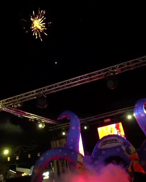 Octopus · Cocoloco Edition en Montiel (Ciudad Real), foto 2