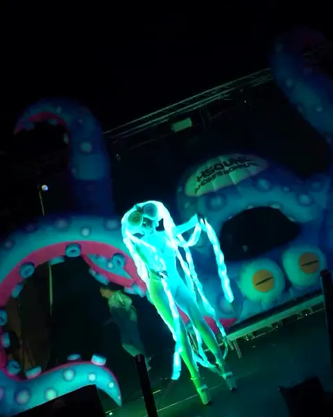 Octopus · Cocoloco Edition en Montiel (Ciudad Real), foto 3